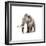Woolly Mammoth, White Background-null-Framed Premium Giclee Print