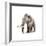 Woolly Mammoth, White Background-null-Framed Premium Giclee Print