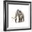 Woolly Mammoth, White Background-null-Framed Premium Giclee Print