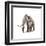 Woolly Mammoth, White Background-null-Framed Art Print