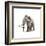 Woolly Mammoth, White Background-null-Framed Art Print