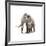 Woolly Mammoth, White Background-null-Framed Art Print