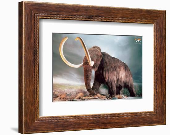 Woolly Mammoth-null-Framed Premium Giclee Print