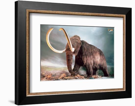 Woolly Mammoth-null-Framed Premium Giclee Print