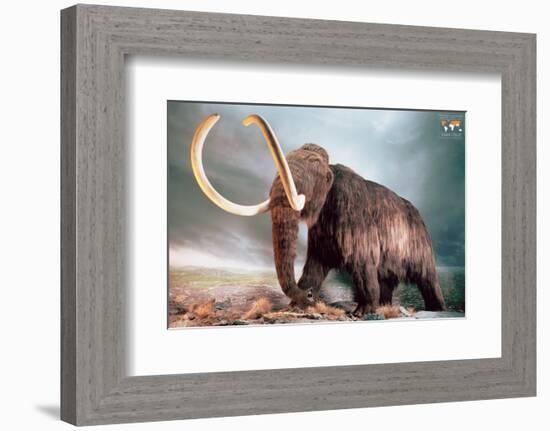 Woolly Mammoth-null-Framed Premium Giclee Print