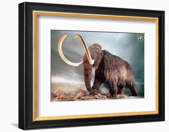 Woolly Mammoth-null-Framed Premium Giclee Print