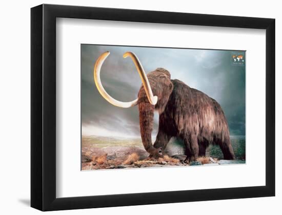 Woolly Mammoth-null-Framed Premium Giclee Print