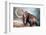 Woolly Mammoth-null-Framed Premium Giclee Print