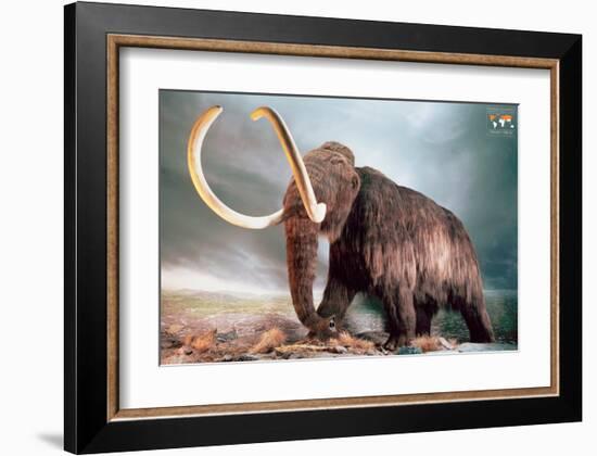 Woolly Mammoth-null-Framed Art Print