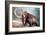 Woolly Mammoth-null-Framed Art Print