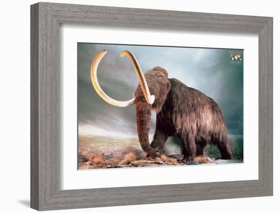 Woolly Mammoth-null-Framed Art Print