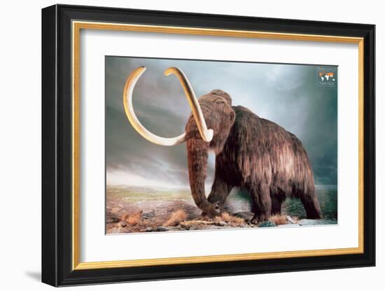 Woolly Mammoth-null-Framed Art Print