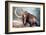 Woolly Mammoth-null-Framed Art Print