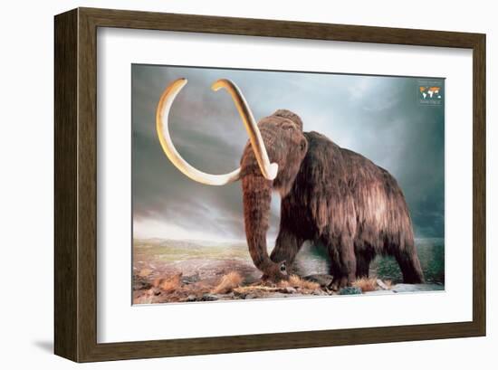 Woolly Mammoth-null-Framed Art Print