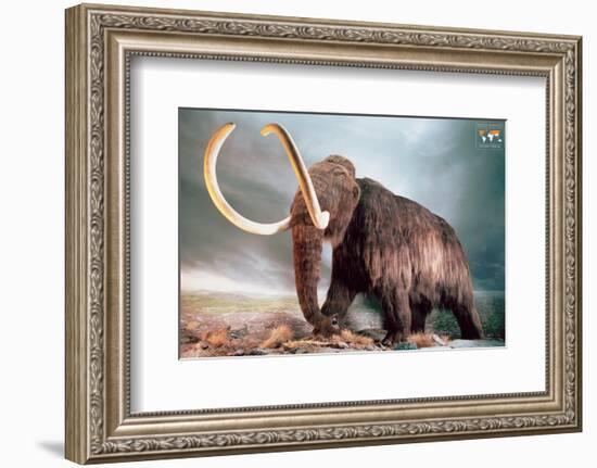 Woolly Mammoth-null-Framed Art Print