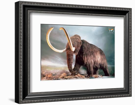 Woolly Mammoth-null-Framed Art Print