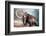 Woolly Mammoth-null-Framed Art Print