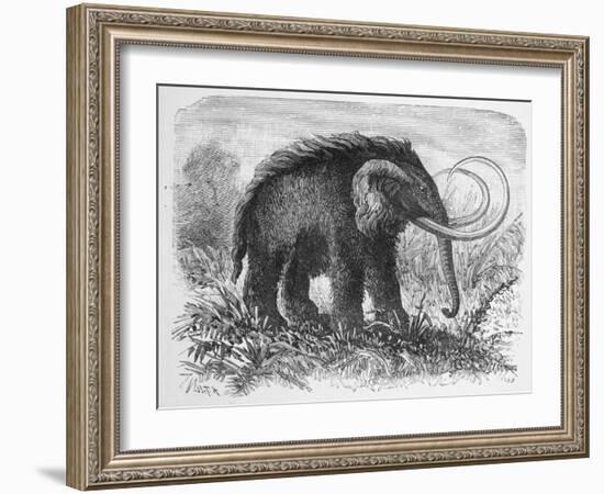 Woolly Mammoth-null-Framed Giclee Print