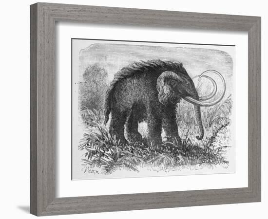 Woolly Mammoth-null-Framed Giclee Print