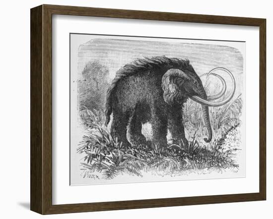 Woolly Mammoth-null-Framed Giclee Print