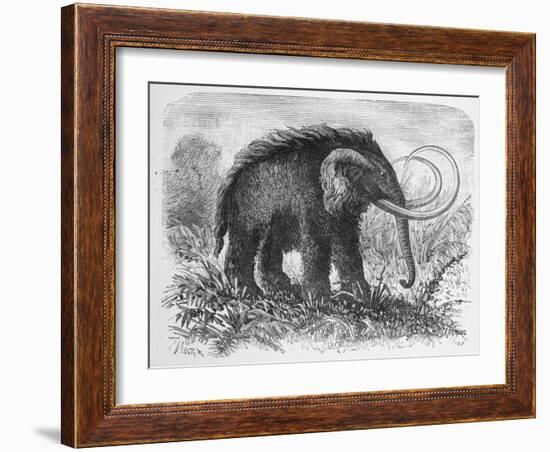 Woolly Mammoth-null-Framed Giclee Print