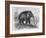 Woolly Mammoth-null-Framed Giclee Print