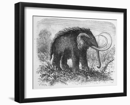 Woolly Mammoth-null-Framed Giclee Print