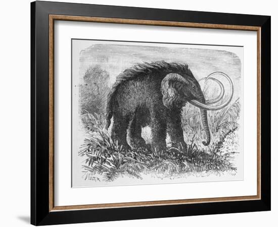 Woolly Mammoth-null-Framed Giclee Print