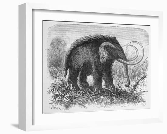 Woolly Mammoth-null-Framed Giclee Print