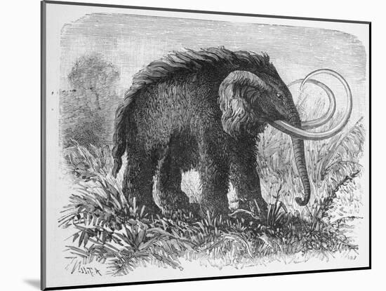 Woolly Mammoth-null-Mounted Giclee Print