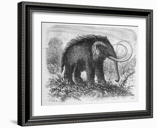 Woolly Mammoth-null-Framed Giclee Print