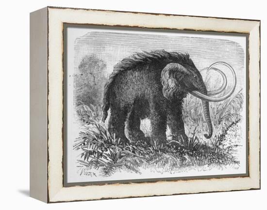 Woolly Mammoth-null-Framed Premier Image Canvas