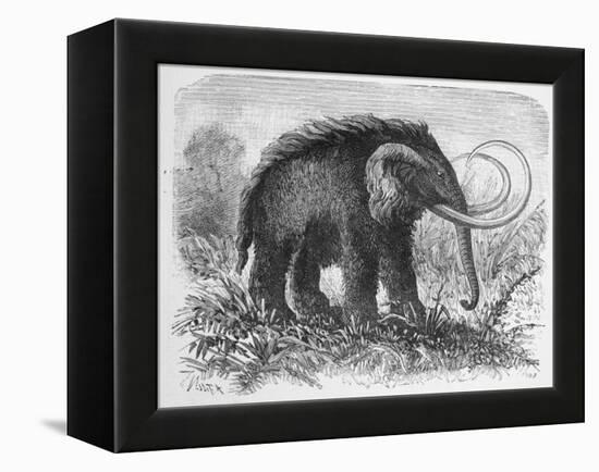 Woolly Mammoth-null-Framed Premier Image Canvas