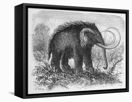 Woolly Mammoth-null-Framed Premier Image Canvas