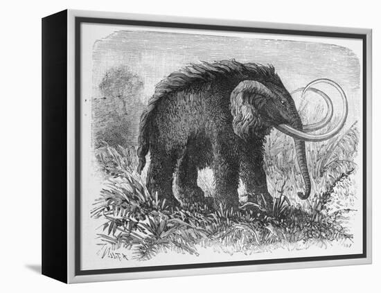 Woolly Mammoth-null-Framed Premier Image Canvas