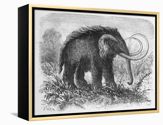 Woolly Mammoth-null-Framed Premier Image Canvas