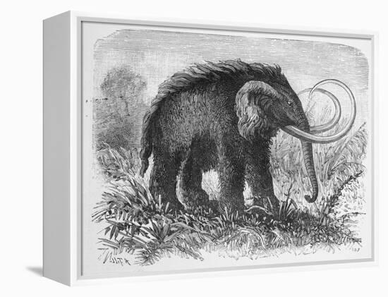 Woolly Mammoth-null-Framed Premier Image Canvas