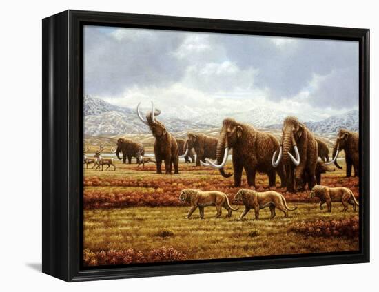 Woolly Mammoths-Mauricio Anton-Framed Premier Image Canvas