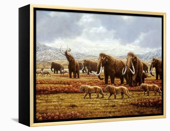 Woolly Mammoths-Mauricio Anton-Framed Premier Image Canvas