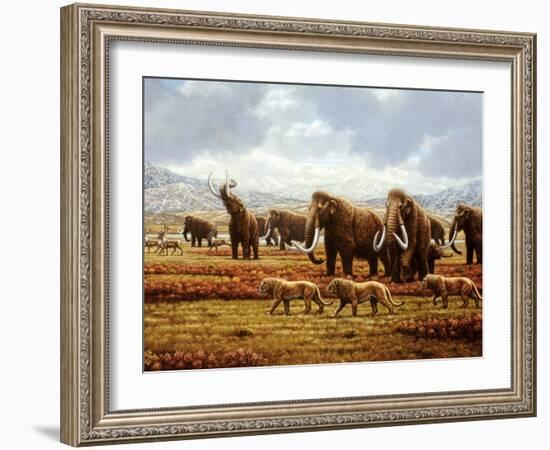 Woolly Mammoths-Mauricio Anton-Framed Photographic Print