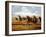 Woolly Mammoths-Mauricio Anton-Framed Photographic Print