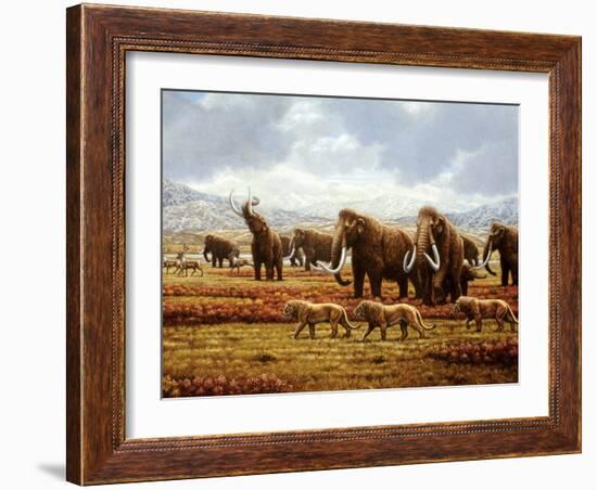 Woolly Mammoths-Mauricio Anton-Framed Photographic Print