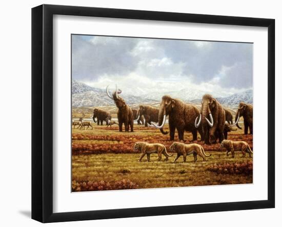 Woolly Mammoths-Mauricio Anton-Framed Photographic Print