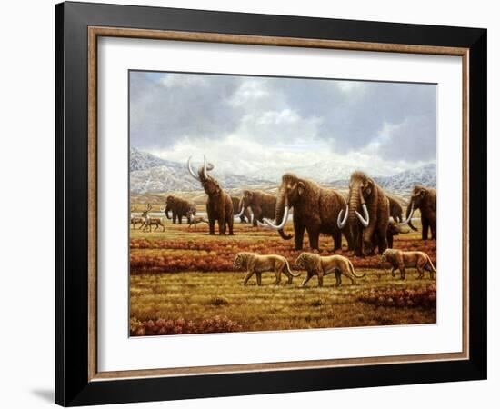 Woolly Mammoths-Mauricio Anton-Framed Photographic Print