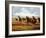 Woolly Mammoths-Mauricio Anton-Framed Photographic Print