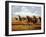 Woolly Mammoths-Mauricio Anton-Framed Photographic Print