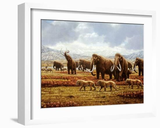 Woolly Mammoths-Mauricio Anton-Framed Photographic Print