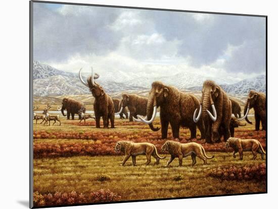 Woolly Mammoths-Mauricio Anton-Mounted Photographic Print