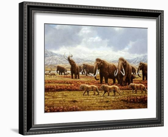 Woolly Mammoths-Mauricio Anton-Framed Photographic Print