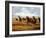 Woolly Mammoths-Mauricio Anton-Framed Photographic Print